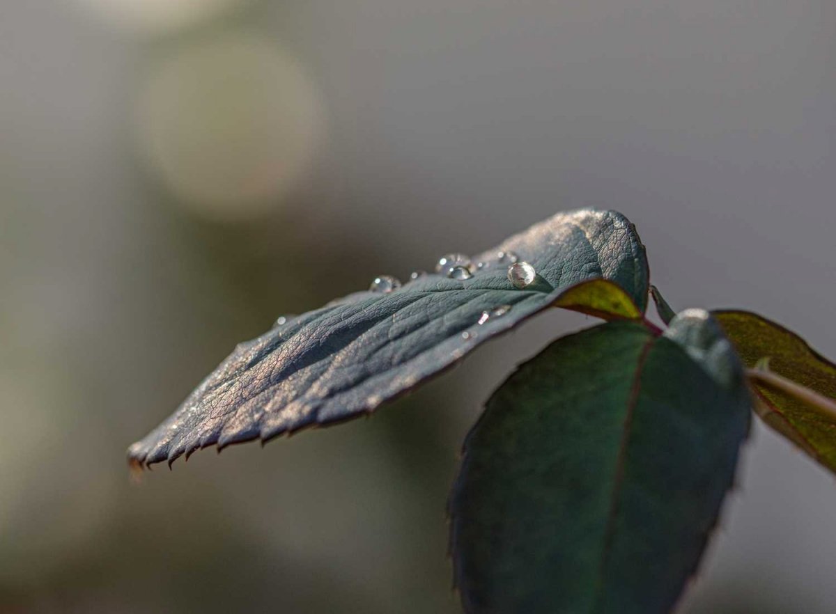 佛學班鈔經心得分享