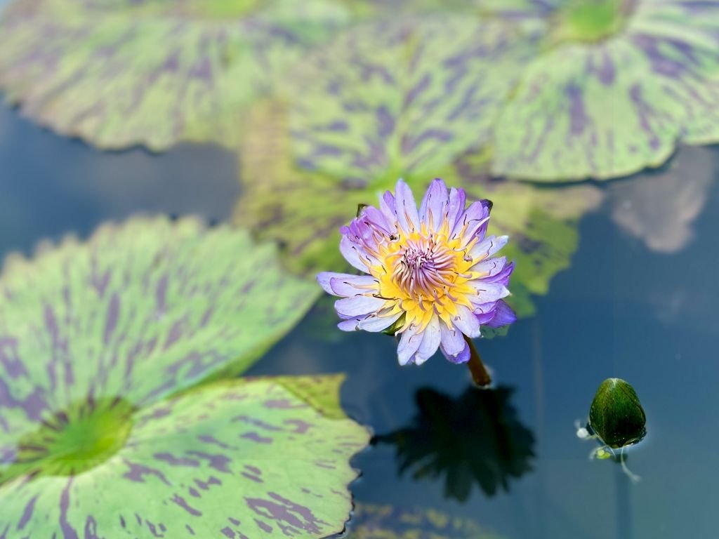 During seated meditation, how can we use the method in a relaxing way while being fully aware of it?