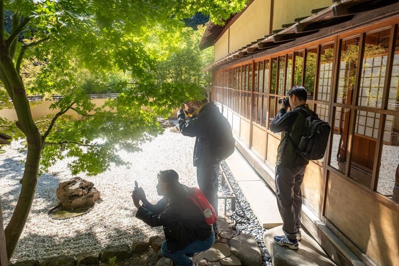 禪心慧眼──「活在當下」的練習